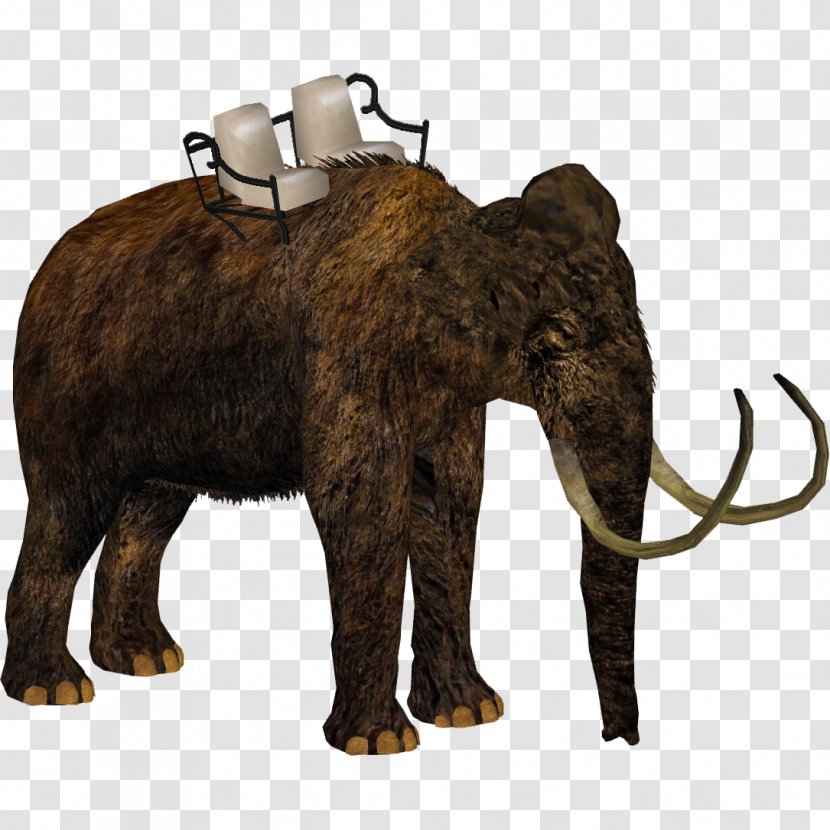 Zoo Tycoon 2: Marine Mania African Elephant Woolly Mammoth Steppe Transparent PNG