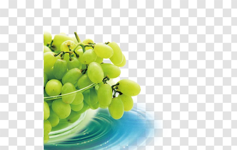 Graphic Design Fruit Wallpaper - Grape Transparent PNG