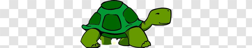 Turtle Free Content Clip Art - Green Cliparts Transparent PNG