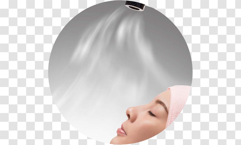 Ozone Therapy Skin Care Gas - Facial Hair - Face Transparent PNG