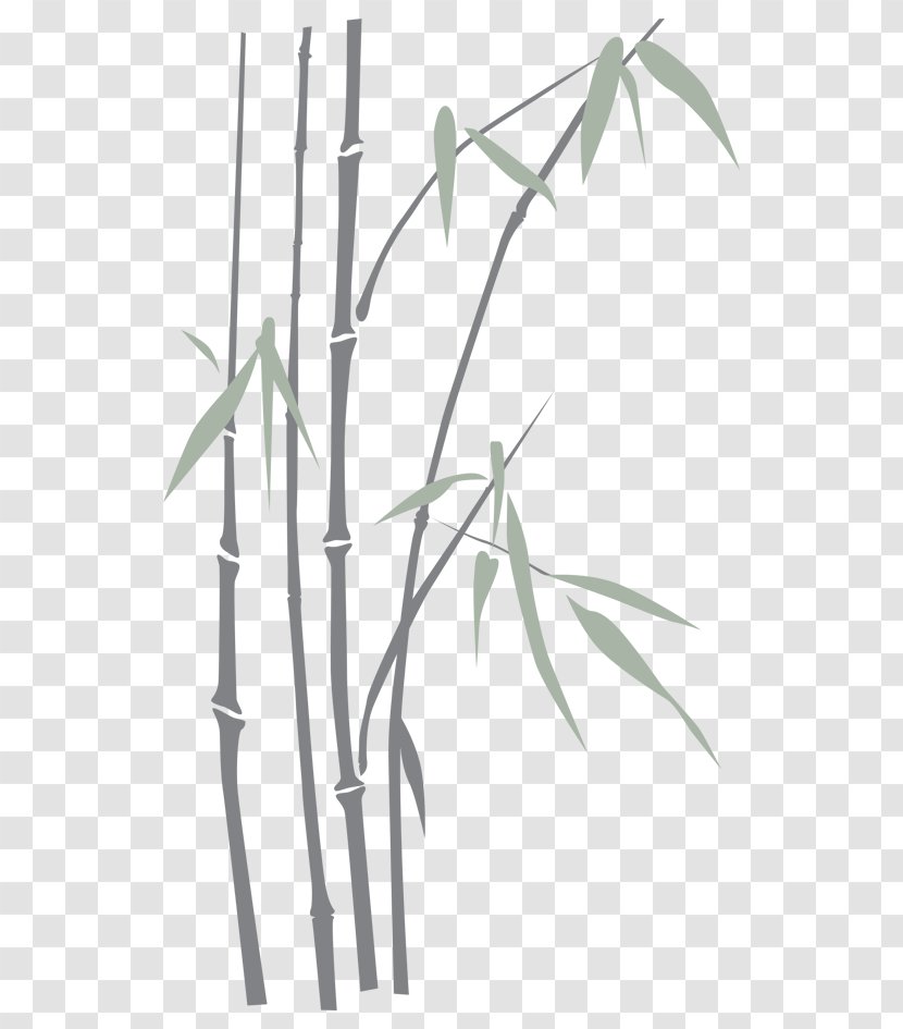Line Angle - Bamboo Transparent PNG