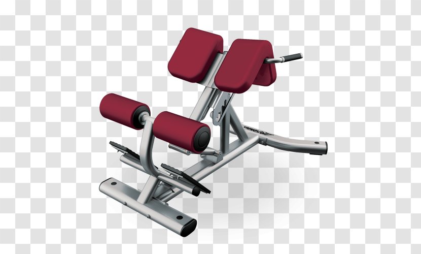 Exercise Equipment Fitness Centre Roman Chair Hyperextension - Life - Hoist Transparent PNG