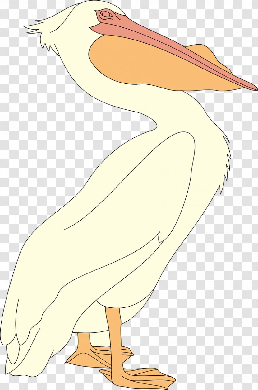 Cartoon Bird - Animal Figure Wing Transparent PNG