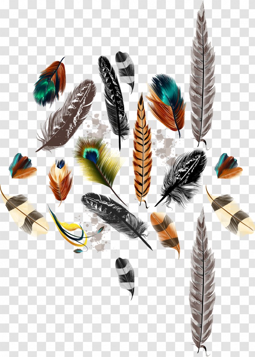 Bird Feather Drawing Color - Pastel - Vector Transparent PNG