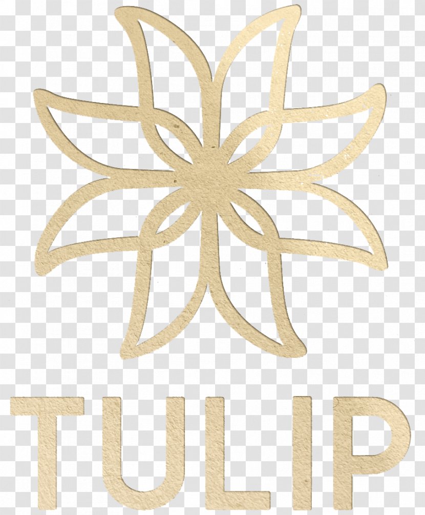 Ao Dai - Wedding - Tulip Transparent PNG