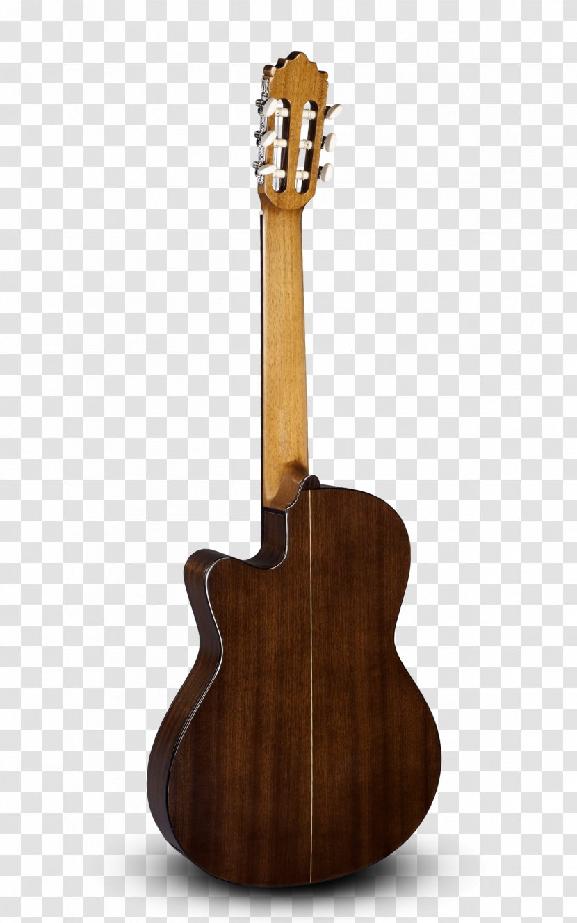 Tiple Acoustic Guitar Bass Cuatro - Electric - Thin Body Transparent PNG