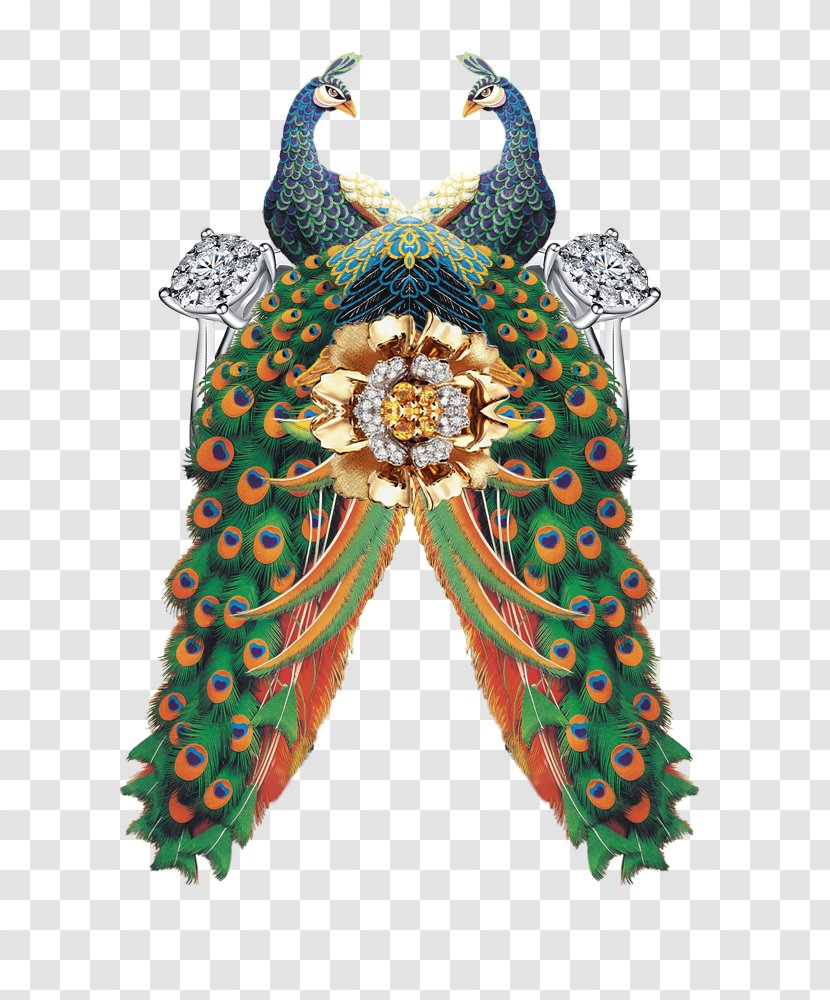 Green Peafowl - Chinoiserie - Peacock Graphics Transparent PNG