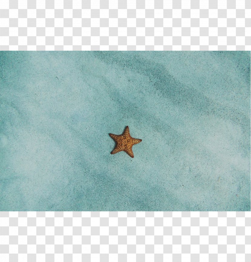 Starfish Turquoise Sky Plc - Frameless Painting Transparent PNG