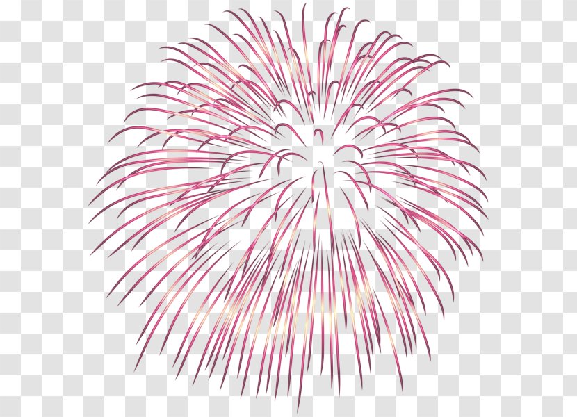 Fireworks Clip Art - Pink Transparent PNG