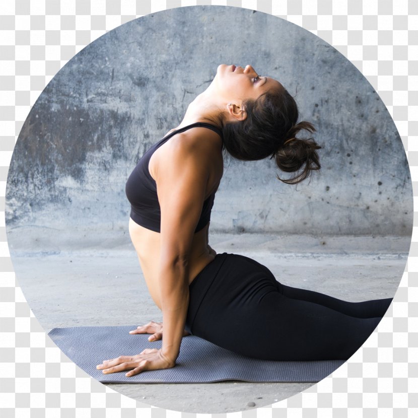 Bikram Yoga Bhujangasana Stretching Transparent PNG