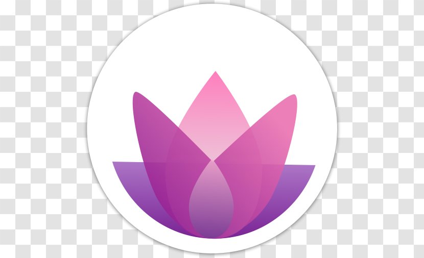Flag Of Malaysia Circular Flow Income Economy Pink M - Conquering Stress Transparent PNG