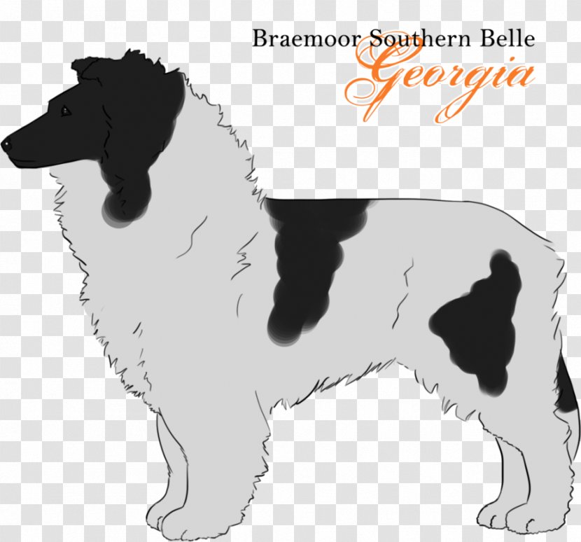 English Springer Spaniel Drentse Patrijshond Stabyhoun Dog Breed Puppy - Shetland Sheepdog Transparent PNG