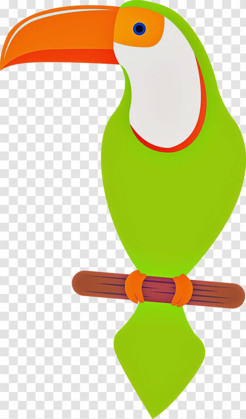 Toucans Beak Green Transparent PNG