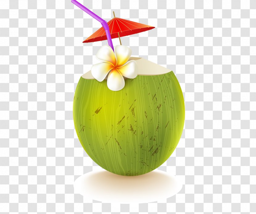 Coconut Water Drink - Melon - Vector Transparent PNG