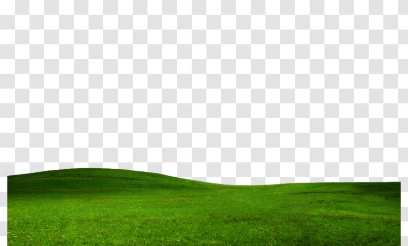 Lawn Green Sky Grassland Wallpaper - Grass - Field Free Download Transparent PNG