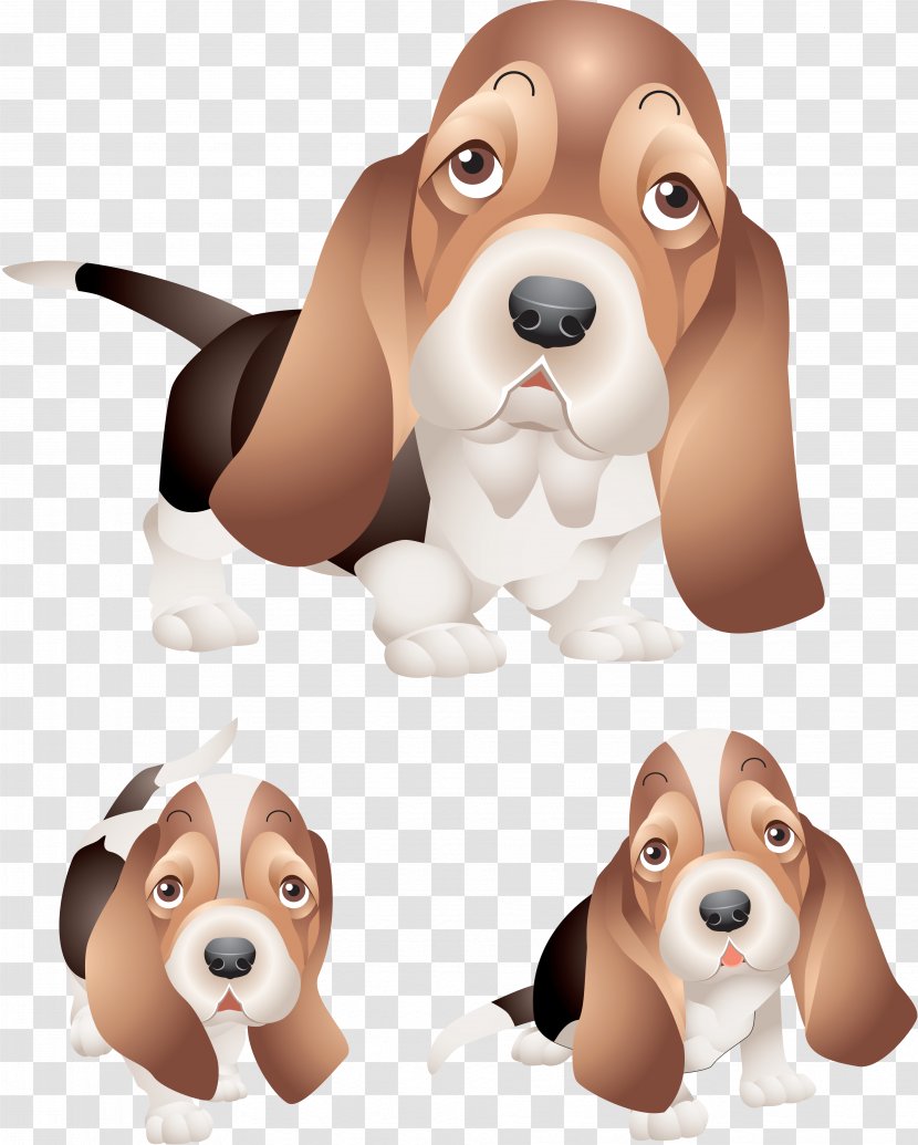 Beagle Puppy Heat Stroke Veterinarian Exhaustion - Snout - Dogs Transparent PNG