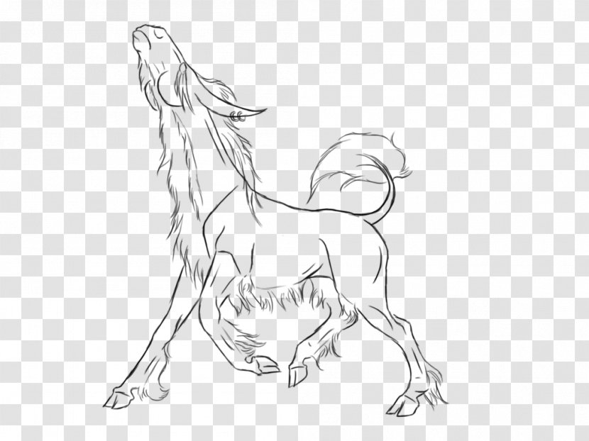 Mustang Figure Drawing Line Art Sketch - Horse Transparent PNG