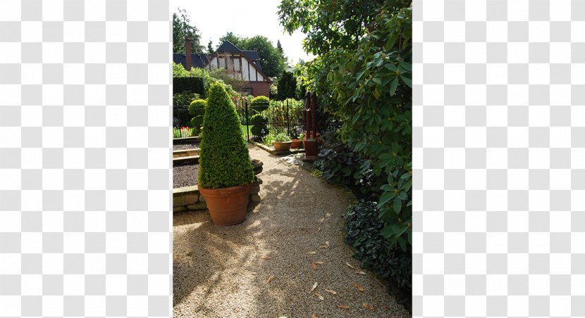 Tree Property Landscape Water Walkway Transparent PNG