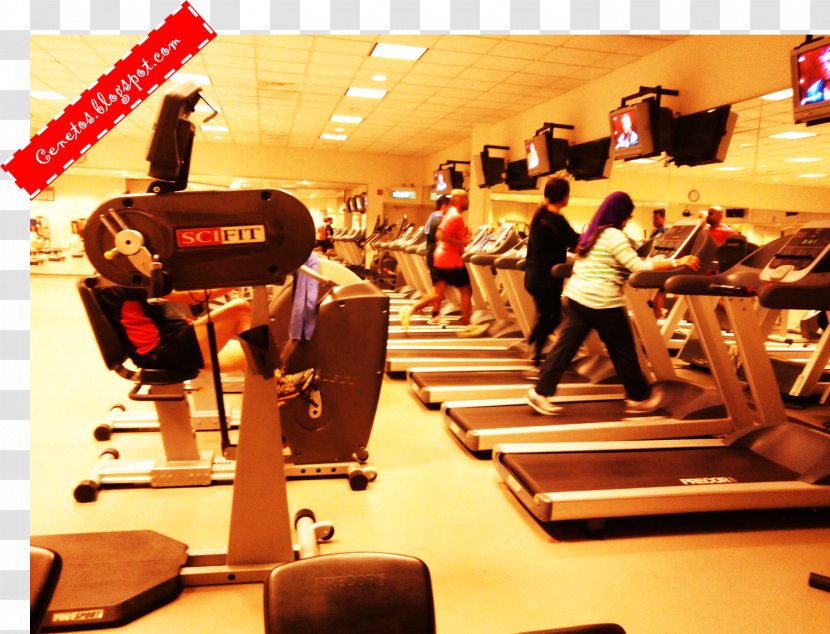 Fitness Centre Leisure - Gym - Aku Pergi Transparent PNG