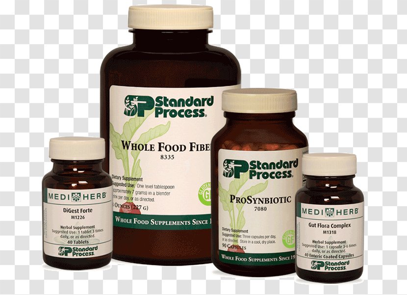 Dietary Supplement Gut Flora Gastrointestinal Tract Health Standard Process Inc. - Inc Transparent PNG