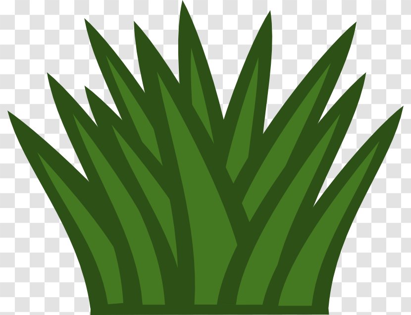 Shrub Tree Clip Art - Cactus Images Free Transparent PNG