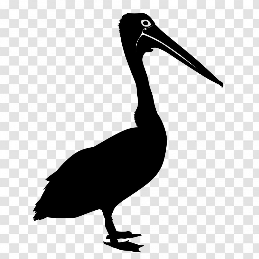 Australian Pelican Bird Silhouette Clip Art - Black And White Transparent PNG