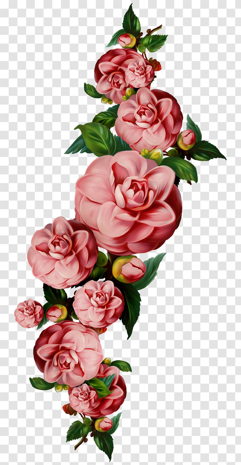 Flower Clip Art - Rose - Flowers Transparent PNG