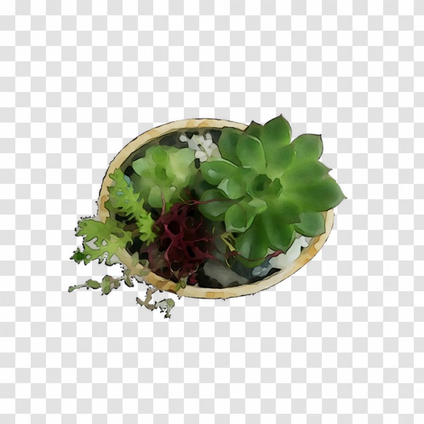 Herb - Flower Transparent PNG