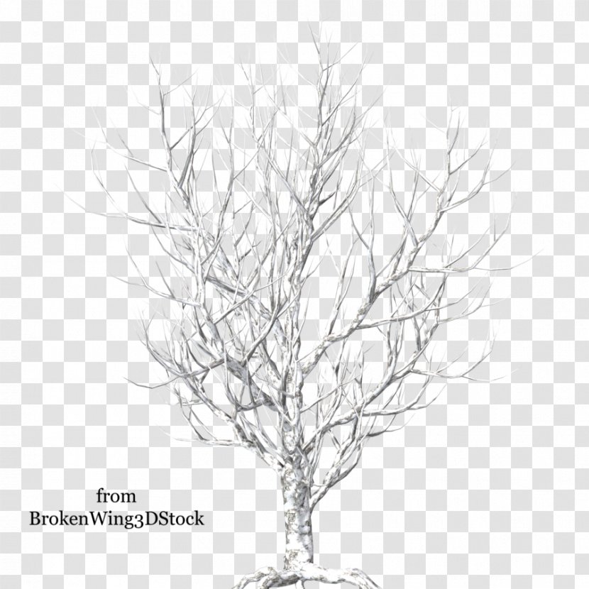 Tree Branch Winter Snow - Black And White Transparent PNG