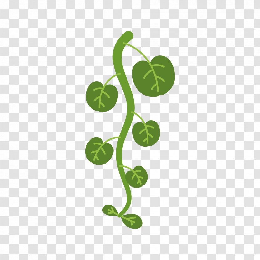Green Design Leaf Color - Logo - Apparel Transparent PNG