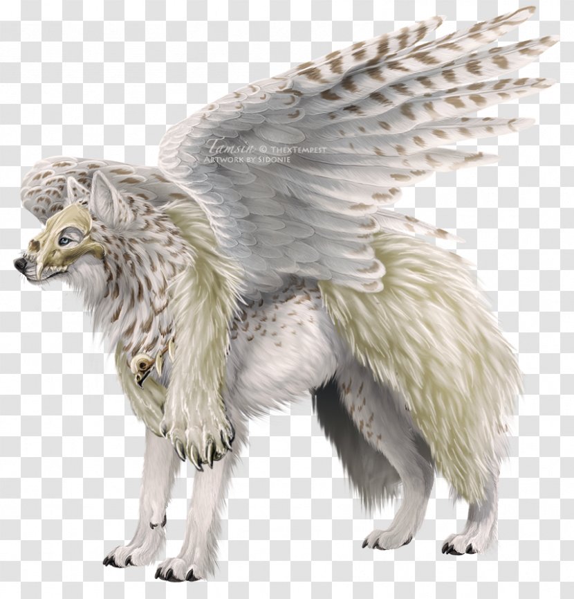 Legendary Creature Gray Wolf Mythology Art - Drawing - Feathe Transparent PNG