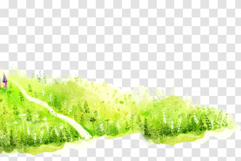 Drawing Clip Art - Grass Background Transparent PNG
