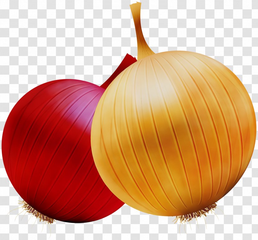 Yellow Onion Red - Allium - Plant Transparent PNG
