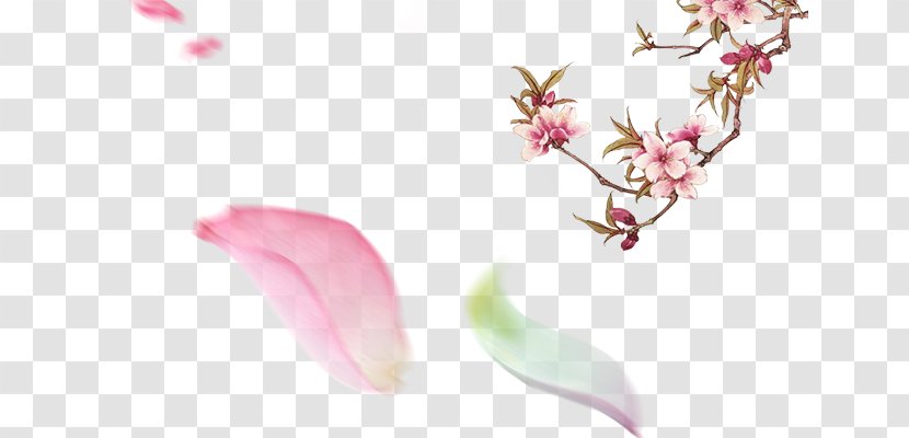 Petal Download - Plant - Peach Blossom Transparent PNG