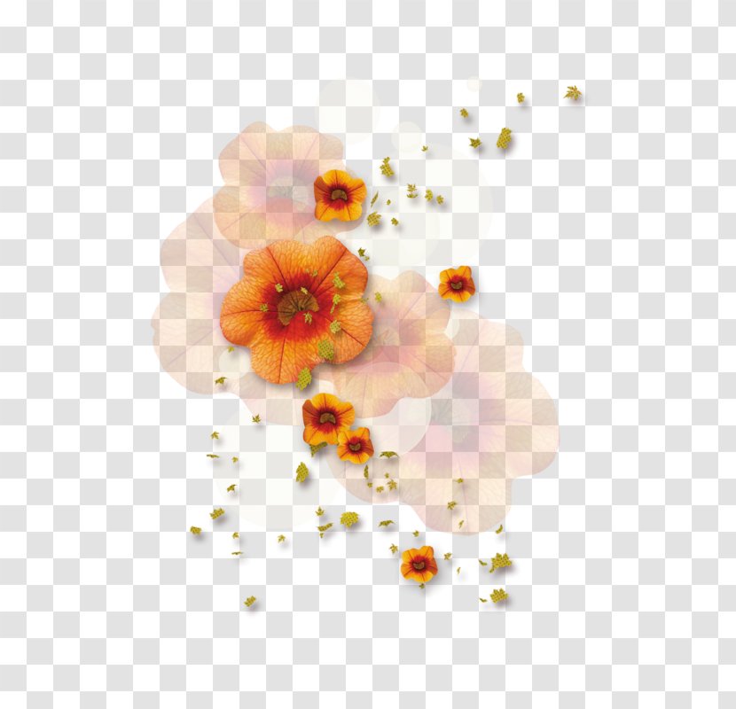 Flower Petal Clip Art - Still Life Photography Transparent PNG