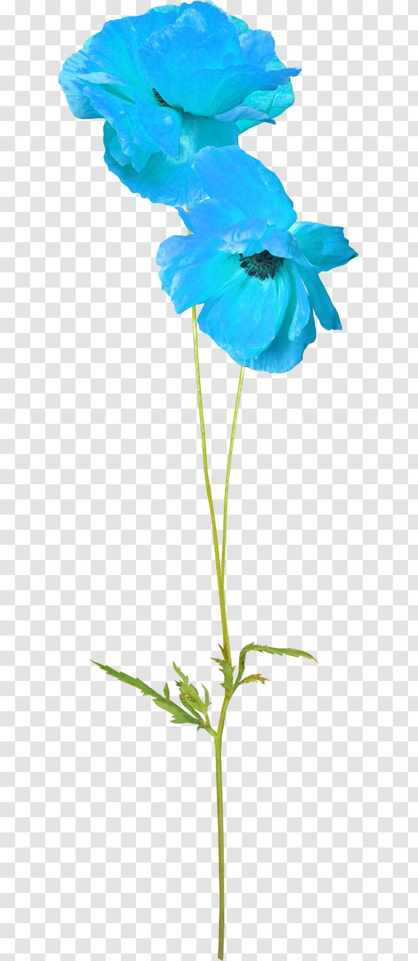 Flower Graphic Design - Flowering Plant - Painted Flowers Transparent PNG