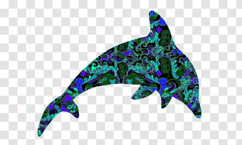 Dolphin Art Marine Life Clip - Pattern Transparent PNG