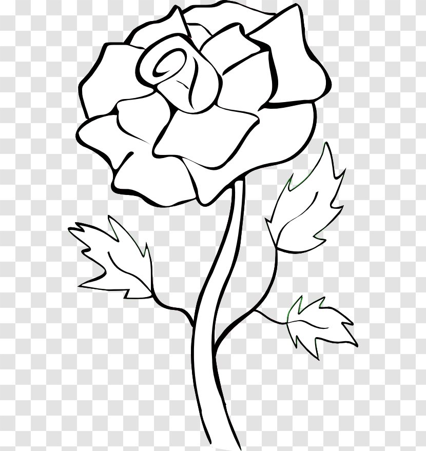Blue Rose Flower Clip Art - Line - Black And White Drawings Transparent PNG
