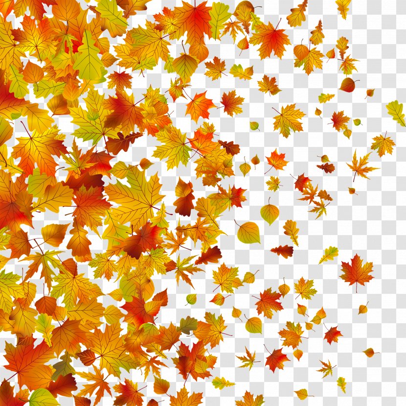 Withered Autumn Leaves - Stock Photography - Flowering Plant Transparent PNG