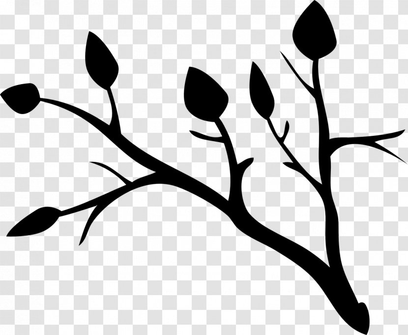 Branch Clip Art Tree Image Video - Plants - Plant Stem Transparent PNG