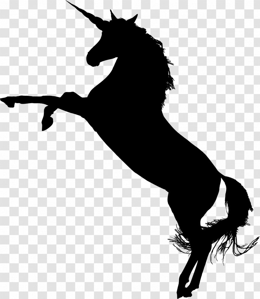 American Quarter Horse Standing Rearing Clip Art - Silhouettes Transparent PNG