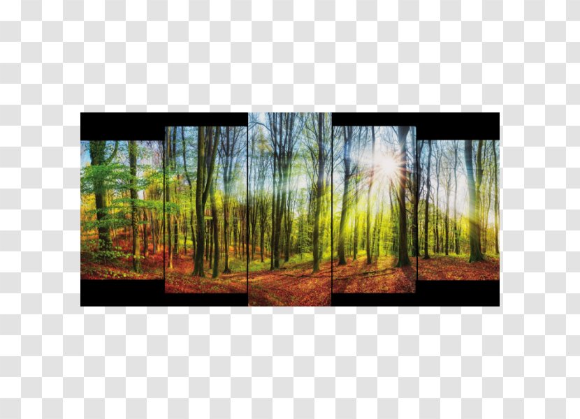 Stock Photography Royalty-free Hunting Painting - Forest Decoration Transparent PNG