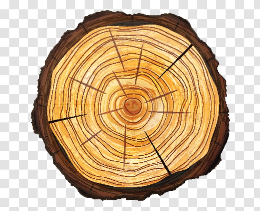 Trunk Tree Stump Cross Section Vector Graphics - Wood - Root Removal Transparent PNG