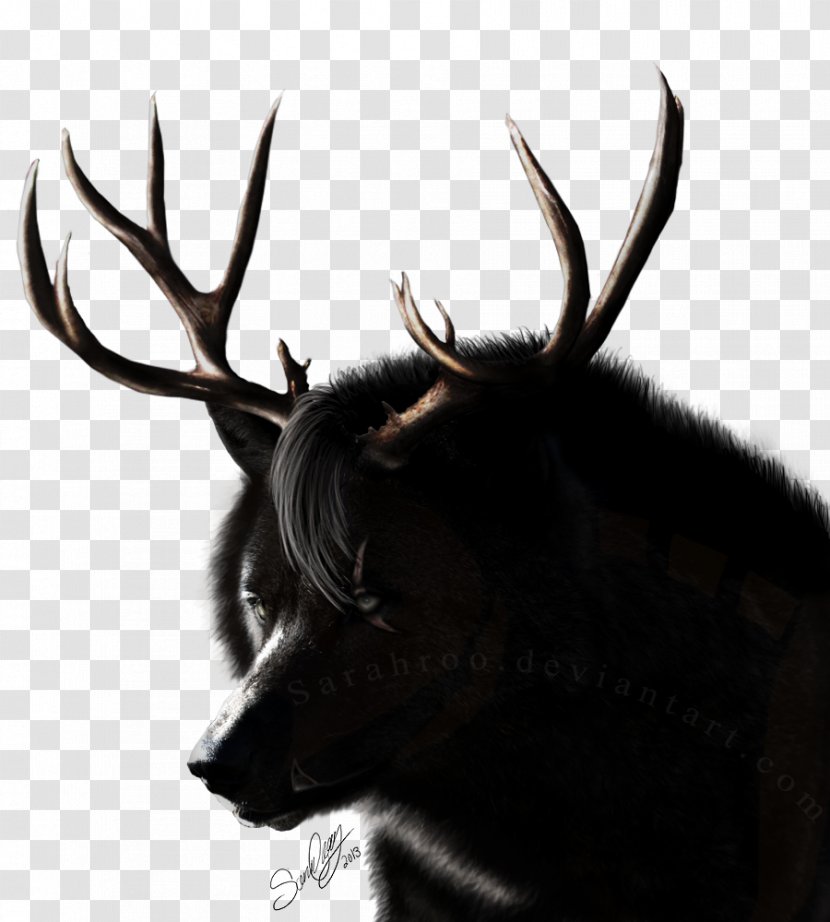 Reindeer Elk Antler Wildlife Snout - Fur - Wolf Lamb Transparent PNG