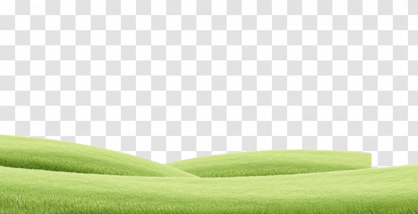 Lawn Green Grassland Angle - Meadow - Cartoon Mountain Transparent PNG