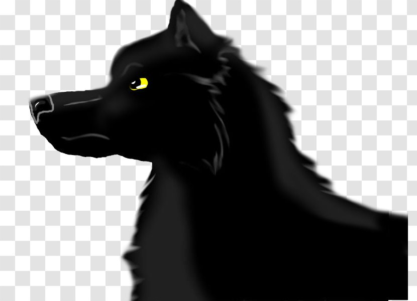 Schipperke Black Wolf Drawing Arctic Canidae - Dog Breed Transparent PNG