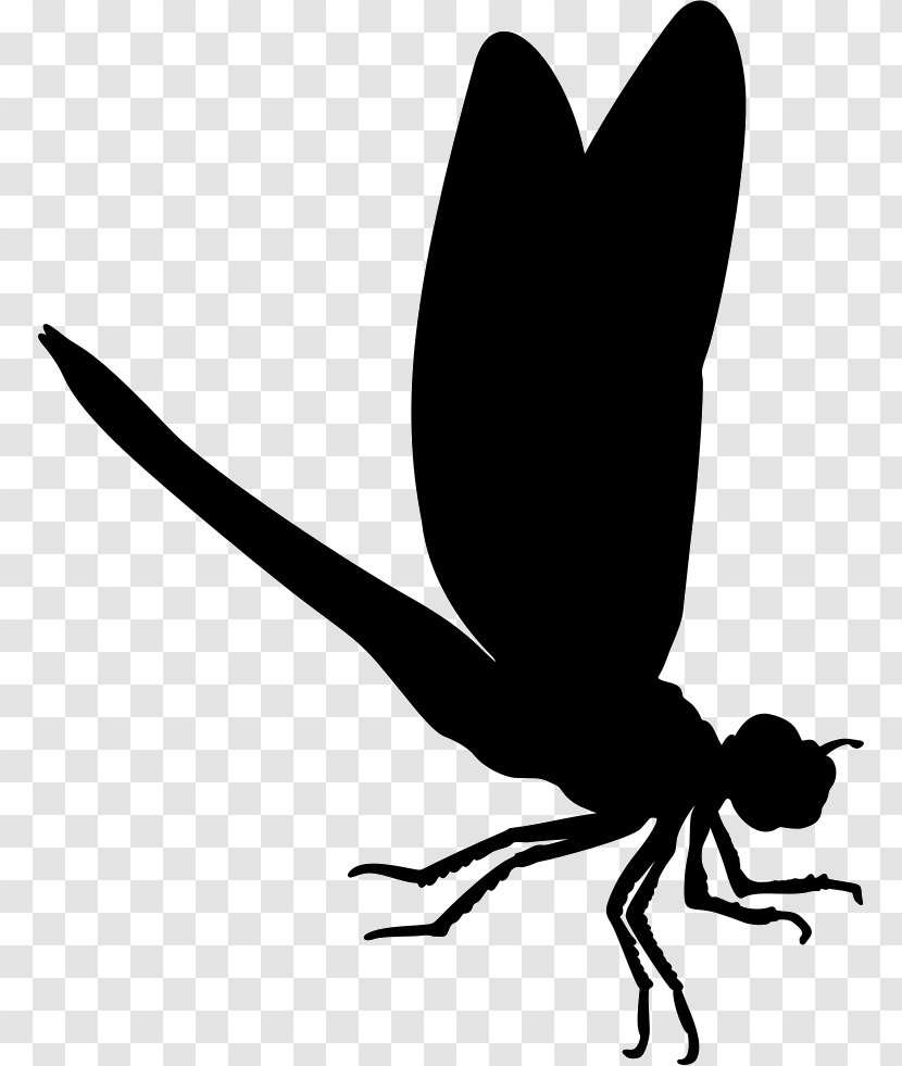Insect Dragonfly Silhouette Image Vector Graphics - Monochrome Photography Transparent PNG