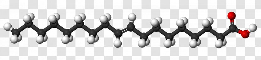 Stearic Acid Saturated Fat Fatty Molecule - Vegetable Transparent PNG