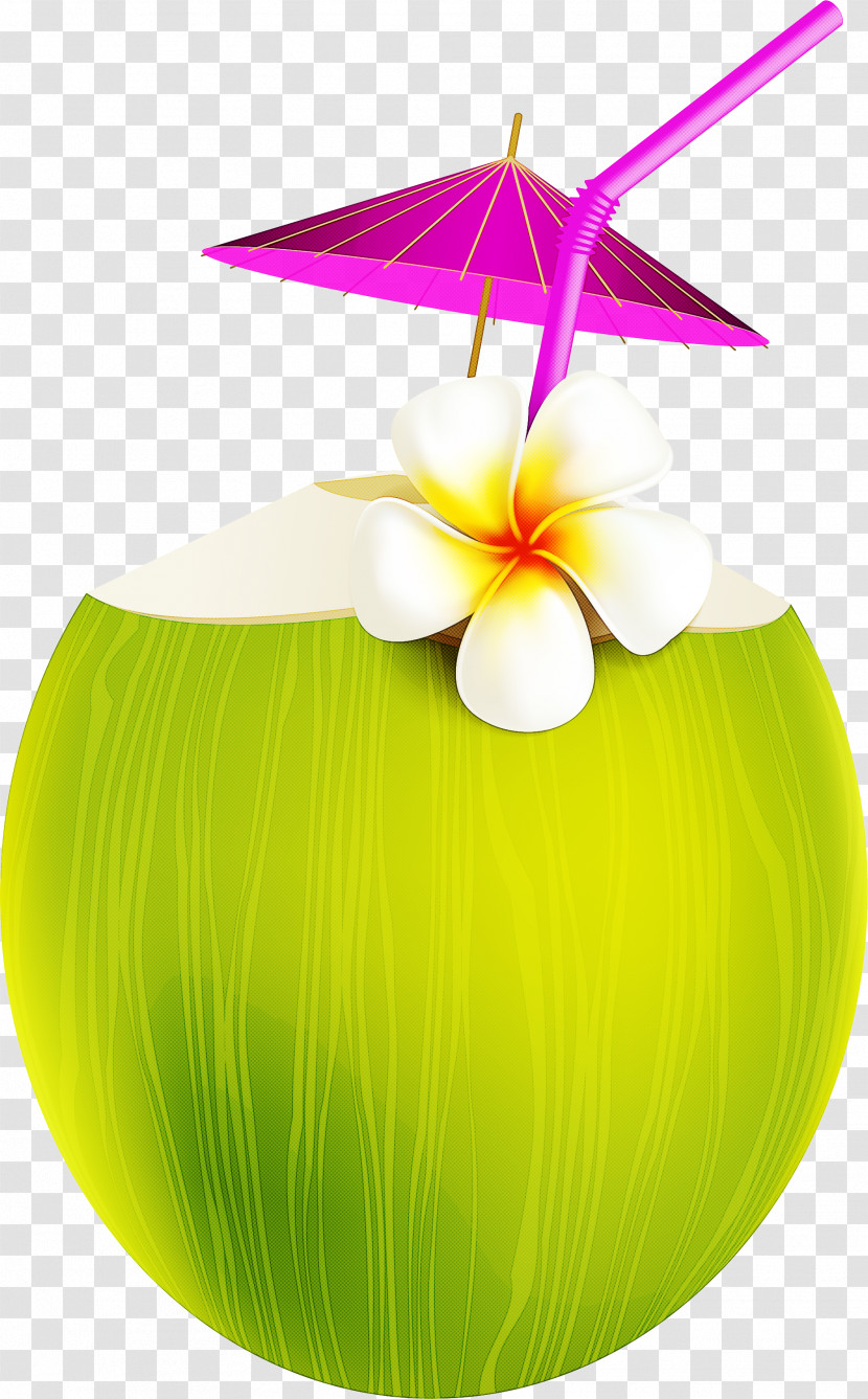 Easter Egg Transparent PNG