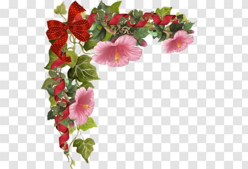 Flower Petal Blog Begonia - Plant Transparent PNG